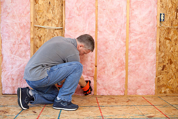 Best Insulation Maintenance and Repair in Richnd, MO